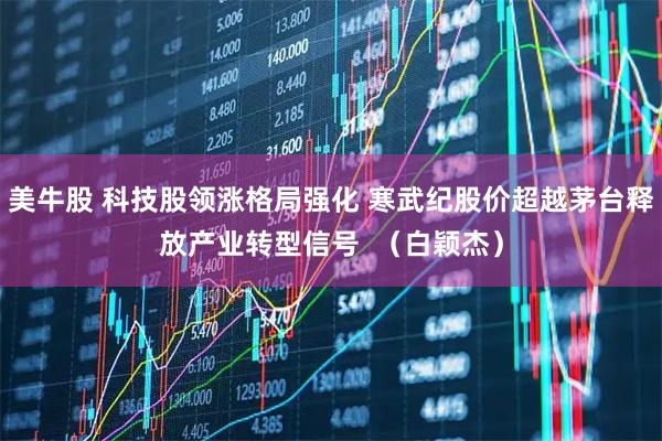 美牛股 科技股领涨格局强化 寒武纪股价超越茅台释放产业转型信号  （白颖杰）
